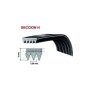 Correa Secadora Ariston Indesit 1991H8 Elastica C00300793