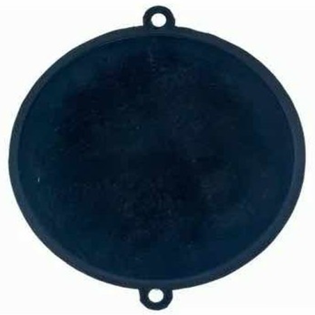 Membrana Calentador vaillant/Orbegozo 5L
