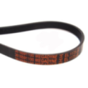 Correa Ranurada 1173 J5 Megadyne Fagor Candy Otsein Elastica
