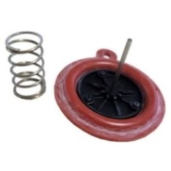 Kit Membrana Calentador compatible con Vaillant 115300
