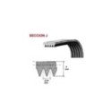 Correa Ranurada 1173 J5 Megadyne Fagor Candy Otsein Elastica