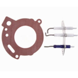 Electrodo Caldera compatible con Junkers Zwb252C23